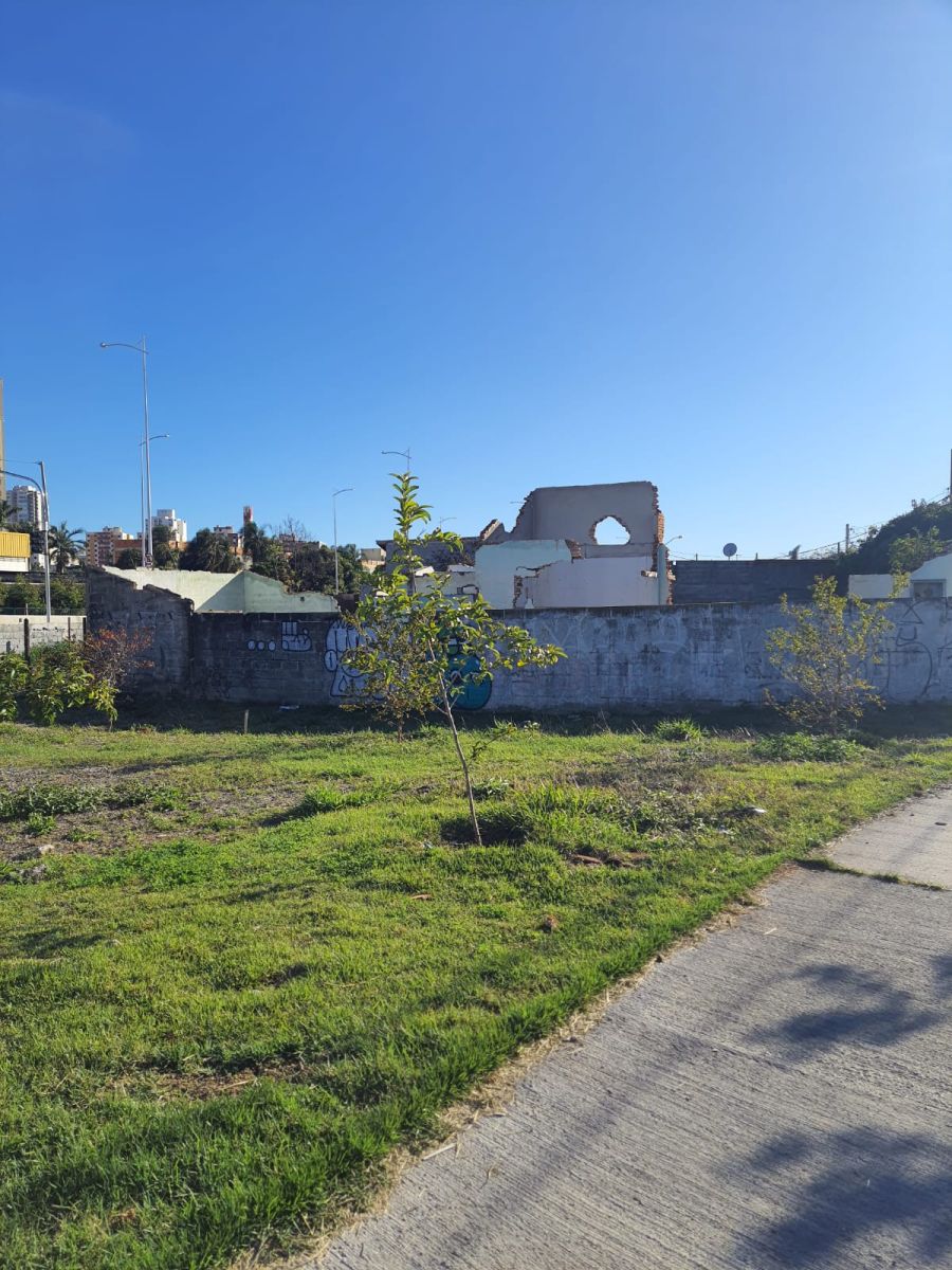 Terreno - Venda - Vila Lacerda - Jundia - SP